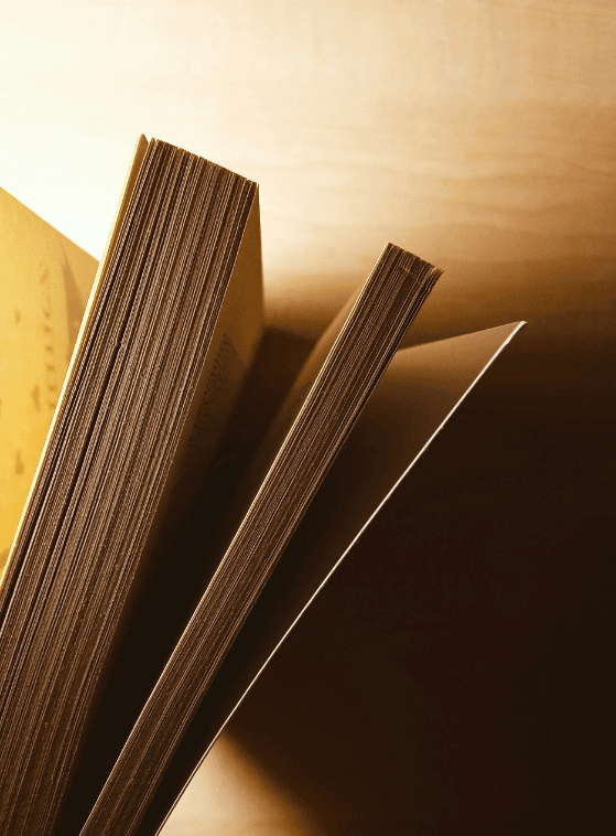 Notre histoire Luxoweb